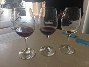 wine-tasting